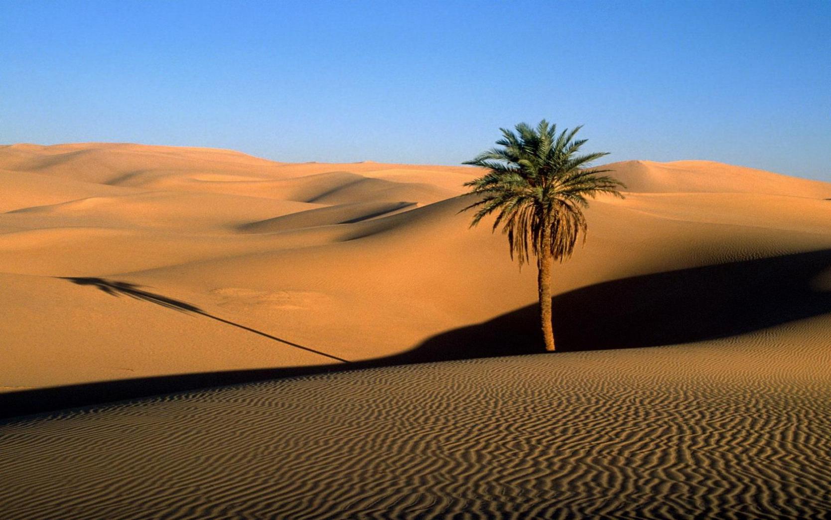 biomas-terrestres-los-desiertos-lareserva